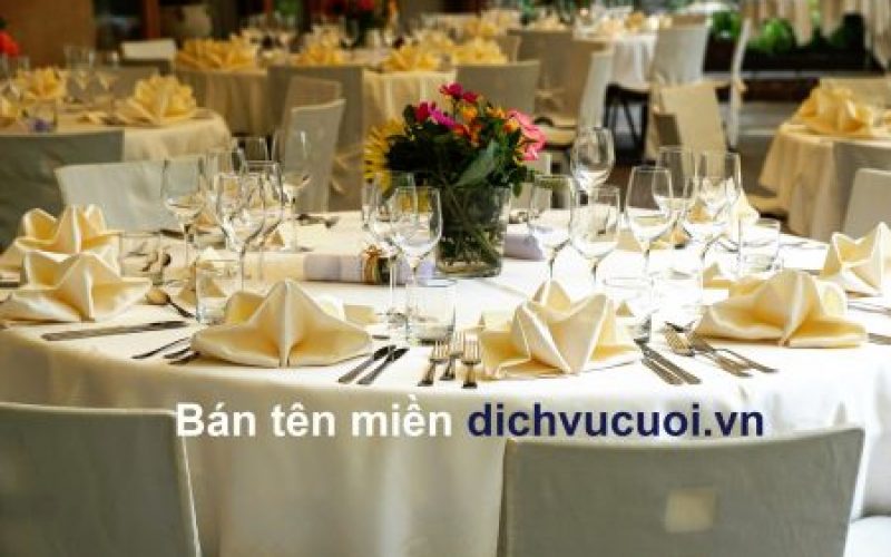 Tên miền dịch vụ cưới (dichvucuoi.vn)