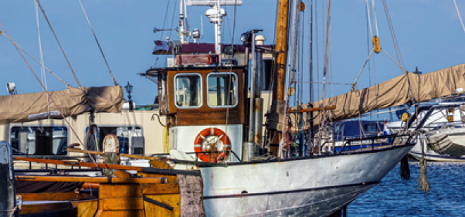 Thủ tục xin cấp phép cho tàu cá khai thác thủy sản ngoài vùng biển Việt Nam