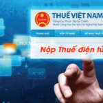 Tại sao Nhà nước đưa ra các tiêu chí đánh giá mức độ tuân thủ thuế?