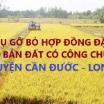 Dịch vụ gỡ bỏ hợp đồng đặt cọc mua bán đất có công chứng tại Huyện Cần Đước, Tỉnh Long An