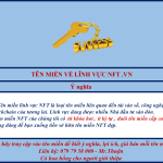 Bán tên miền NFT – lĩnh vực hot nhất giới đầu tư