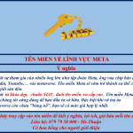 Bán tên miền META – Tên miền lĩnh vực công nghệ của tương lai