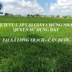 Dịch vụ cấp lại Giấy chứng nhận quyền sử dụng đất tại xã Long Trạch - huyện Cần Đước