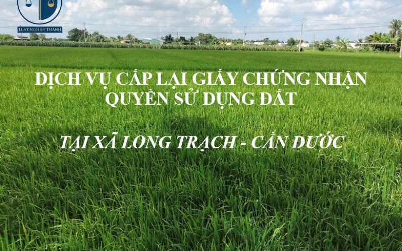 Dịch vụ cấp lại Giấy chứng nhận quyền sử dụng đất tại xã Long Trạch – huyện Cần Đước