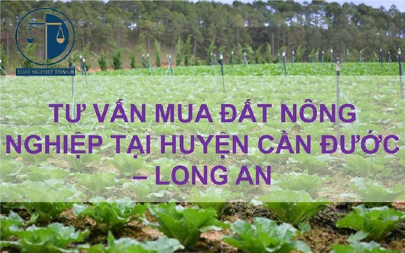 Dịch vụ tư vấn mua đất nông nghiệp tại huyện Cần Đước