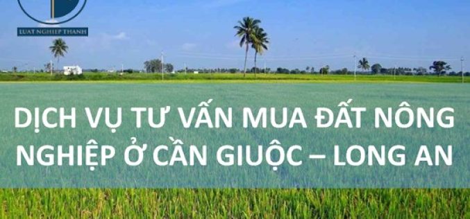 Dịch vụ tư vấn mua đất nông nghiệp tại huyện Cần Giuộc