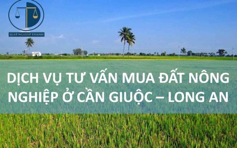 Dịch vụ tư vấn mua đất nông nghiệp tại huyện Cần Giuộc – Tư Vấn Luật