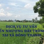 Dịch vụ tư vấn chuyển nhượng đất trồng lúa tại xã Đông Thạnh, huyện Cần Giuộc