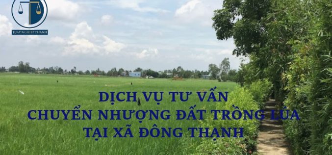 Dịch vụ tư vấn chuyển nhượng đất trồng lúa tại xã Đông Thạnh, huyện Cần Giuộc