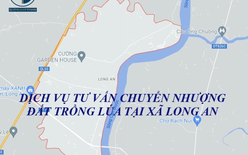 Dịch vụ tư vấn chuyển nhượng đất trồng lúa tại xã Long An, huyện Cần Giuộc
