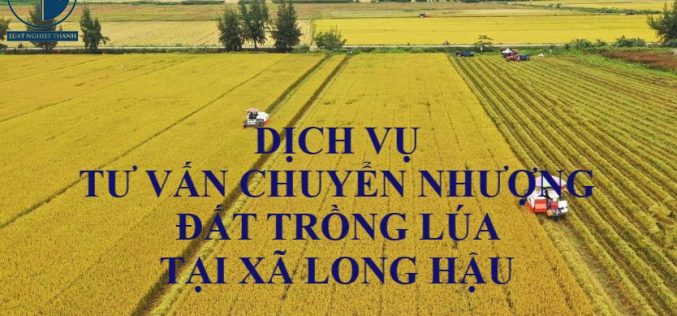 Dịch vụ tư vấn chuyển nhượng đất trồng lúa tại xã Long Hậu, huyện Cần Giuộc