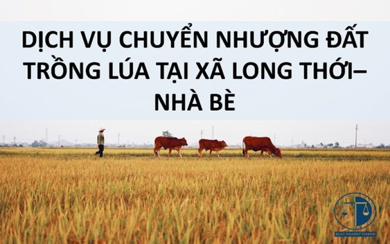 Dịch vụ chuyển nhượng đất trồng lúa tại xã Long Thới, huyện Nhà Bè