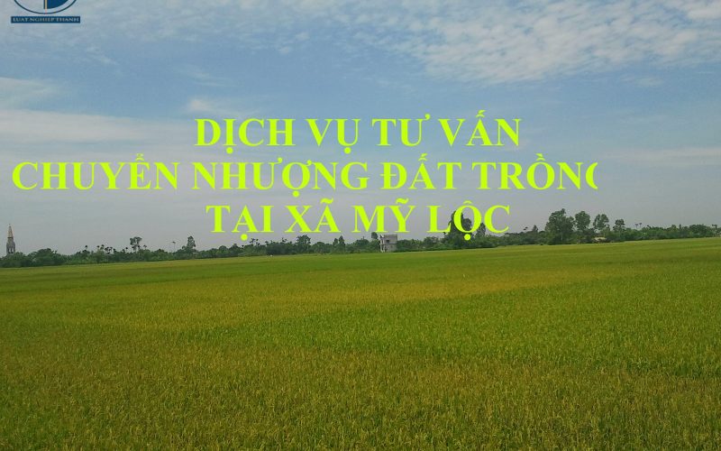 Dịch vụ tư vấn chuyển nhượng đất trồng lúa tại xã Mỹ Lộc, huyện Cần Giuộc
