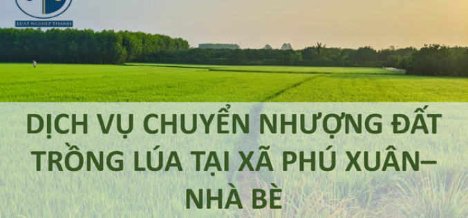 Dịch vụ chuyển nhượng đất trồng lúa tại xã Phú Xuân, huyện Nhà Bè
