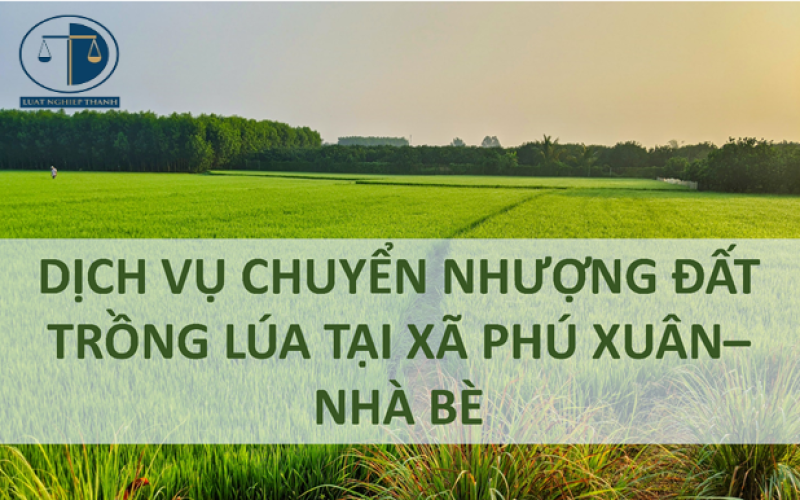 Dịch vụ chuyển nhượng đất trồng lúa tại xã Phú Xuân, huyện Nhà Bè