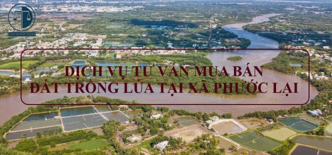 Dịch vụ tư vấn chuyển nhượng đất trồng lúa tại xã Phước Lại, huyện Cần Giuộc