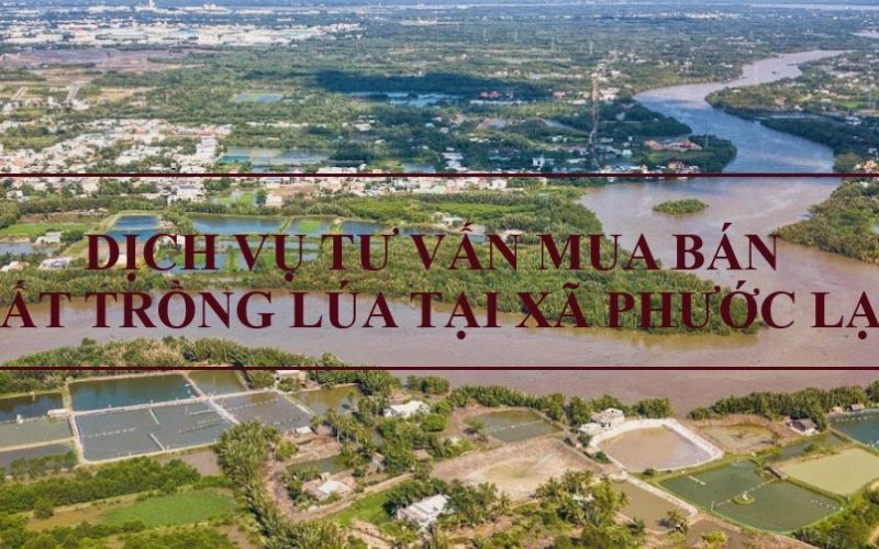 Dịch vụ tư vấn chuyển nhượng đất trồng lúa tại xã Phước Lại, huyện Cần Giuộc