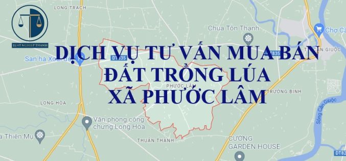 Dịch vụ tư vấn chuyển nhượng đất trồng lúa tại xã Phước Lâm, huyện Cần Giuộc