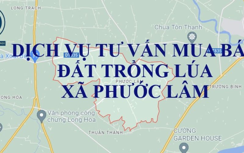 Dịch vụ tư vấn chuyển nhượng đất trồng lúa tại xã Phước Lâm, huyện Cần Giuộc
