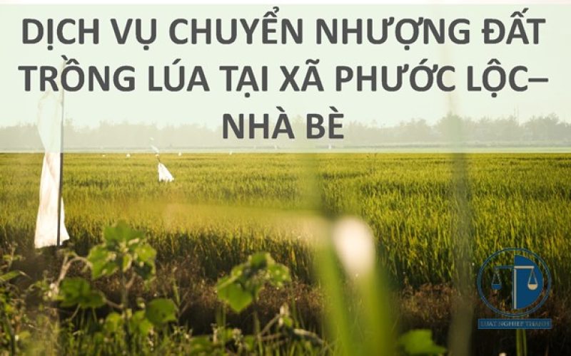 Dịch vụ chuyển nhượng đất trồng lúa tại xã Phước Lộc, huyện Nhà Bè