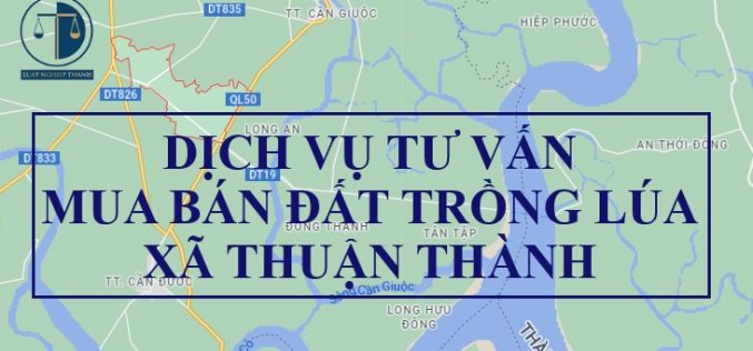 Dịch vụ tư vấn chuyển nhượng đất trồng lúa tại xã Thuận Thành, huyện Cần Giuộc