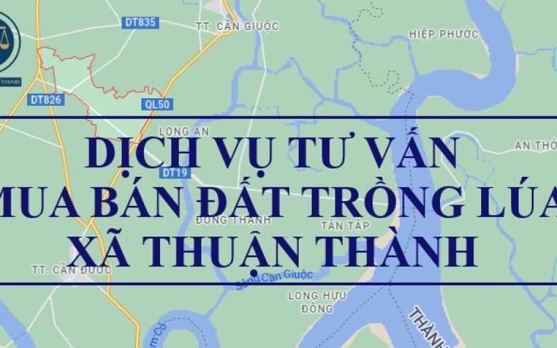 Dịch vụ tư vấn chuyển nhượng đất trồng lúa tại xã Thuận Thành, huyện Cần Giuộc