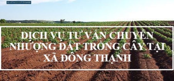 Dịch vụ tư vấn chuyển nhượng đất trồng cây tại xã Đông Thạnh, huyện Cần Giuộc