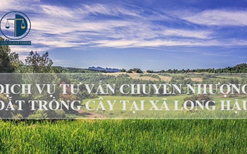 Dịch vụ tư vấn chuyển nhượng đất trồng cây tại xã Long Hậu, huyện Cần Giuộc