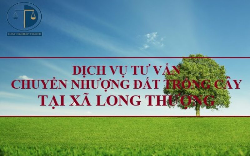 Dịch vụ tư vấn chuyển nhượng đất trồng cây tại xã Long Thượng, huyện Cần Giuộc