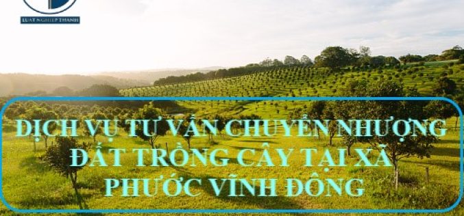 Dịch vụ tư vấn chuyển nhượng đất trồng cây tại xã Phước Vĩnh Đông, huyện Cần Giuộc