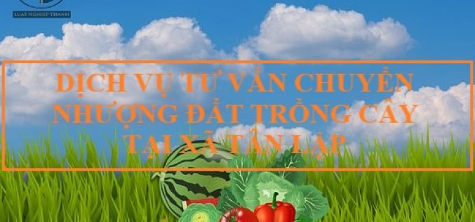Dịch vụ tư vấn chuyển nhượng đất trồng cây tại xã Tân Lập, huyện Cần Giuộc