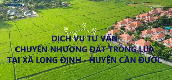 Dịch vụ tư vấn chuyển nhượng đất trồng lúa tại xã Long Định, huyện Cần Đước