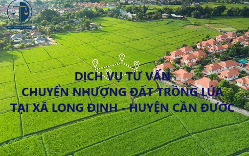 Dịch vụ tư vấn chuyển nhượng đất trồng lúa tại xã Long Định, huyện Cần Đước