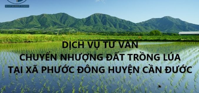 Dịch vụ tư vấn chuyển nhượng đất trồng lúa tại xã Phước Đông, huyện Cần Đước