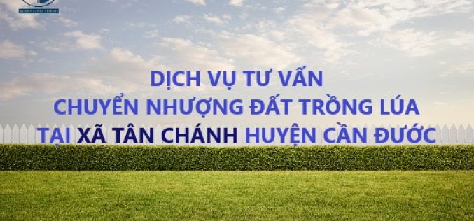 Dịch vụ tư vấn chuyển nhượng đất trồng lúa tại xã Tân Chánh, huyện Cần Đước