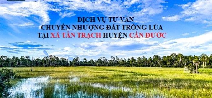 Dịch vụ tư vấn chuyển nhượng đất trồng lúa tại xã Tân Trạch, huyện Cần Đước
