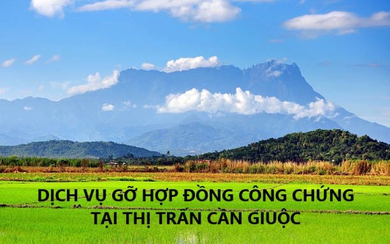 Dịch vụ tư vấn xử lý hợp đồng đặt cọc chuyển nhượng đất có công chứng tại Thị trấn Cần Giuộc, huyện Cần Giuộc