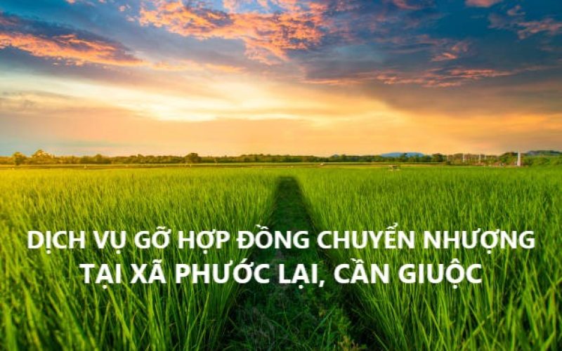 Dịch vụ tư vấn xử lý hợp đồng đặt cọc chuyển nhượng đất có công chứng tại Xã Phước Lại, huyện Cần Giuộc