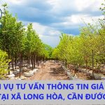 Dich vu tra cuu thong tin gia dat Long Hoa