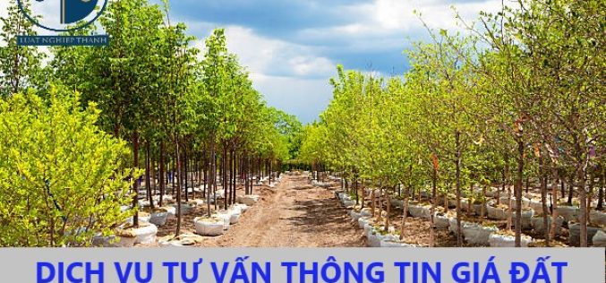 Dịch vụ tra cứu thông tin giá đất để tính tiền nộp thuế khi mua bán đất tại xã Long Hòa, huyện Cần Đước