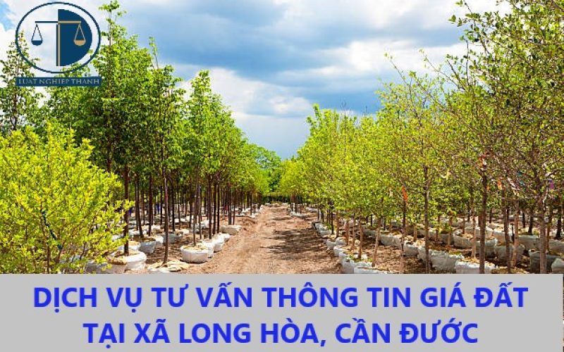 Dịch vụ tra cứu thông tin giá đất để tính tiền nộp thuế khi mua bán đất tại xã Long Hòa, huyện Cần Đước