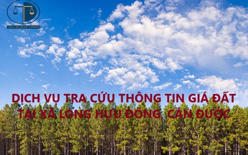 Dịch vụ tra cứu thông tin giá đất để tính tiền nộp thuế khi mua bán đất tại xã Long Hựu Đông, huyện Cần Đước
