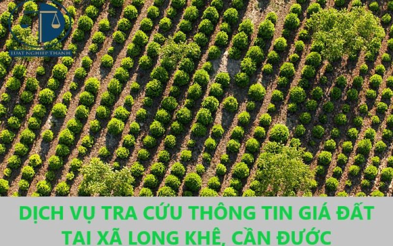 Dịch vụ tra cứu thông tin giá đất để tính tiền nộp thuế khi mua bán đất tại xã Long Khê, huyện Cần Đước