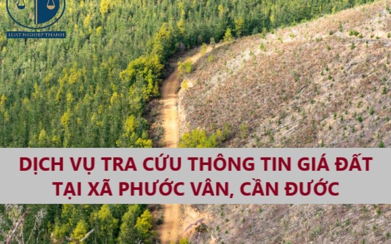 Dịch vụ tra cứu thông tin giá đất để tính tiền nộp thuế khi mua bán đất tại xã Phước Vân, huyện Cần Đước
