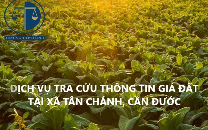 Dịch vụ tra cứu thông tin giá đất để tính tiền nộp thuế khi mua bán đất tại xã Tân Chánh, huyện Cần Đước