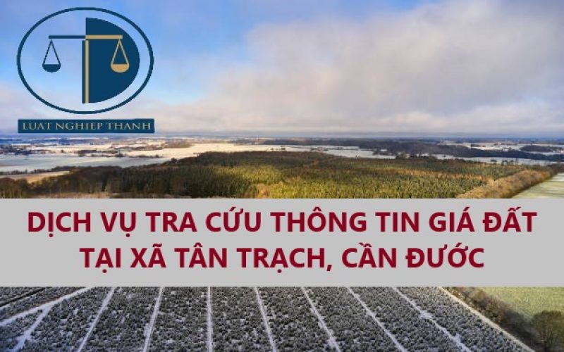 Dịch vụ tra cứu thông tin giá đất để tính tiền nộp thuế khi mua bán đất tại xã Tân Trạch, huyện Cần Đước