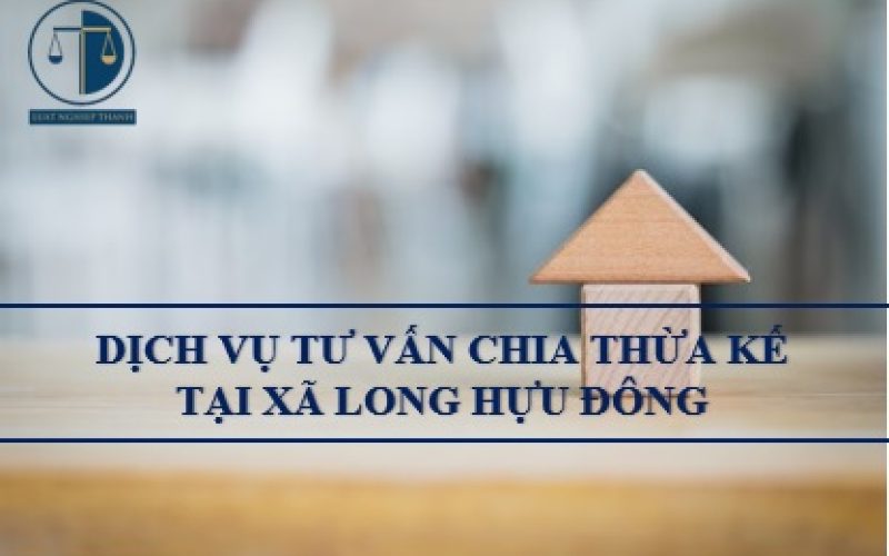 Dịch vụ tư vấn chia thừa kế tại xã Long Hựu Đông, huyện Cần Đước