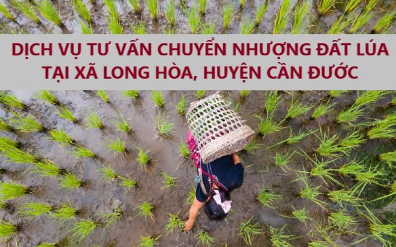 Dịch vụ tư vấn chuyển nhượng đất trồng lúa tại xã Long Hòa, huyện Cần Đước