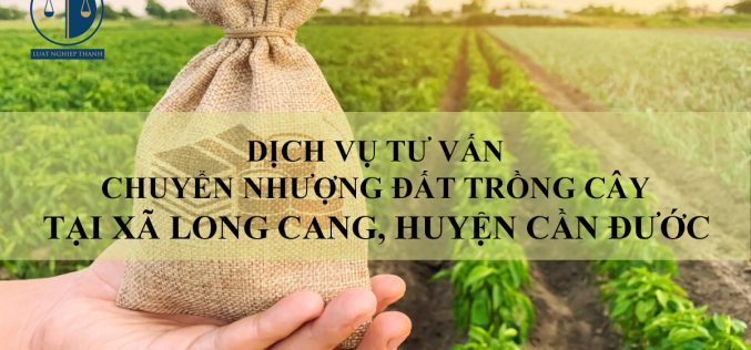 Dịch vụ tư vấn chuyển nhượng đất trồng cây tại xã Long Cang, huyện Cần Đước
