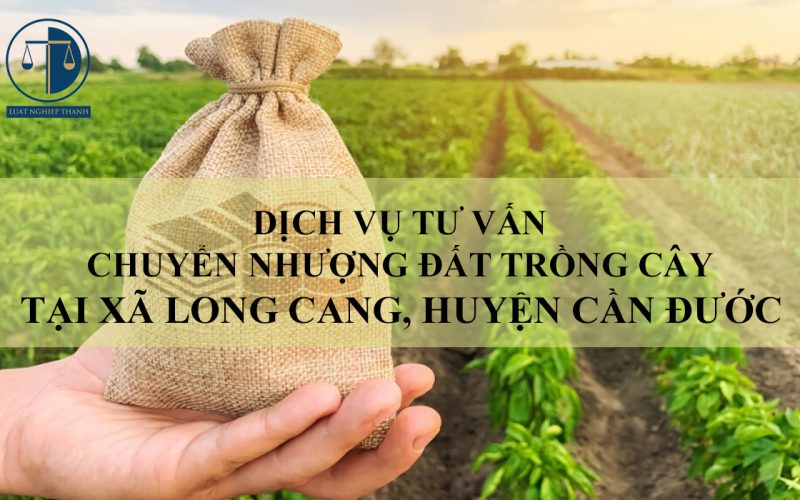 Dịch vụ tư vấn chuyển nhượng đất trồng cây tại xã Long Cang, huyện Cần Đước